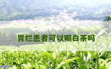 胃烂能喝茶叶茶吗-胃烂能喝茶叶茶吗?