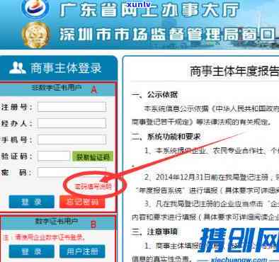 深圳年报申报时间、流程及查询  全攻略