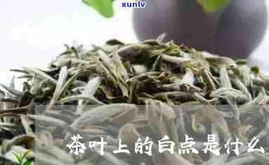 云南普洱茶批发中心：昆明茶叶交易市场位置与体验分享