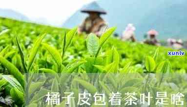 橘子皮的茶叶叫什么-橘子皮的茶叶叫什么名字