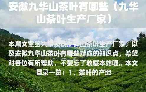 九华山茶叶生产厂家地址，寻找好茶？九华山茶叶生产厂家地址全在这里！