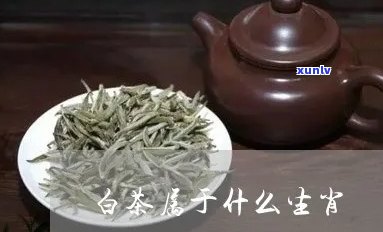 茶叶代表什么生肖?-茶叶代表什么生肖