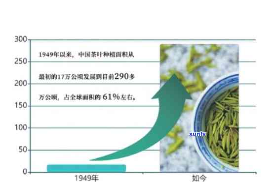 茶叶的数字，从0到无穷大：茶叶的数字化探索