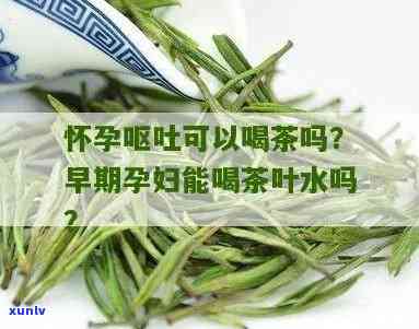 怀孕可以喝茶叶吗?-怀孕可以喝茶叶吗早期