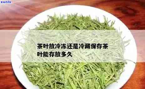 茶叶可以放冰箱里冷冻吗，茶叶能冷冻保存吗？关于茶叶冷冻保存的真相大揭秘