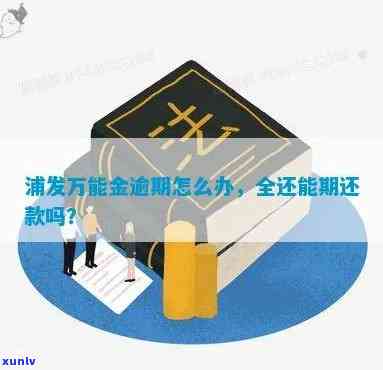 浦发万用金逾期7天会有什么结果？