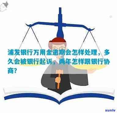 浦发万用金逾期多久会被起诉？起诉有效期及成功率解析