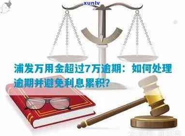 浦发万用金逾期多久会被起诉？起诉有效期及成功率解析