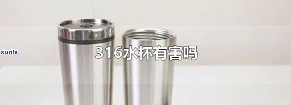 316保杯是否适合泡茶？安全吗？有无副作用？