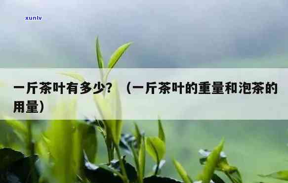 半斤茶叶的体积及重量是多少？