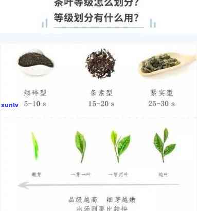 茶叶多少级品质好一些，揭秘茶叶等级：哪种级别的茶叶品质更优？