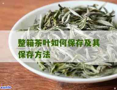 茶叶怎样包装存?-茶叶怎样包装存不会坏