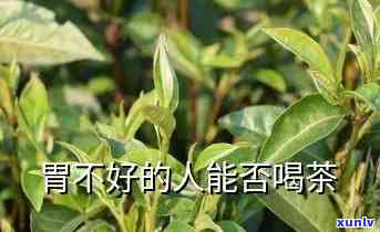 胃不好能喝茶叶吗?-胃不好能喝茶叶吗