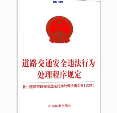 山东省交通违法表现解决规详细规定及最新请求