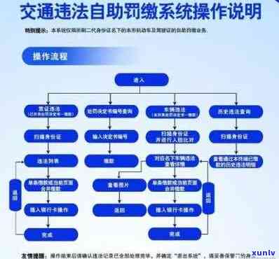 山东车辆违法交款，轻松解决山东车辆违法罚款，快速完成交款流程