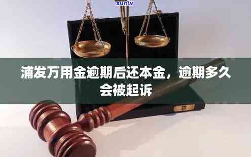 浦发万用金逾期多久会被起诉？时间限制及起诉成功率解析