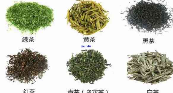 茶叶的种类有哪些有什么功效，全面解析：茶叶的种类及其独特功效