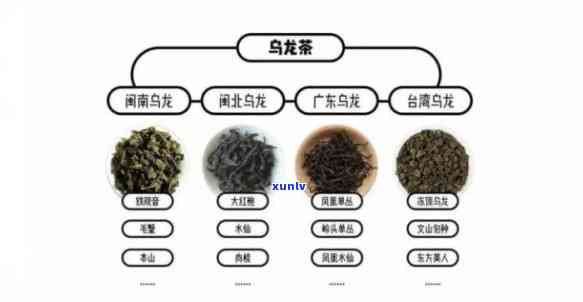 茶叶的品种有哪些种类？详细解析与图片展示