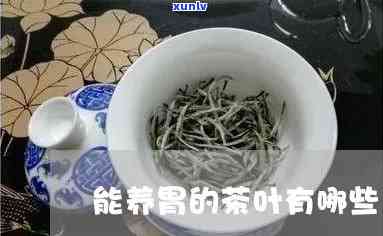 养胃的茶叶有哪些?-养胃的茶叶有哪些品种