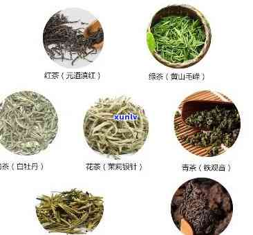 茶叶有多少个品种名称？探索丰富的茶类大全与精美图片！