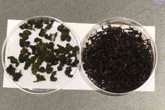 发酵的茶叶有哪些，揭示发酵茶叶的奥秘：探究茶叶发酵过程中会产生哪些变化？