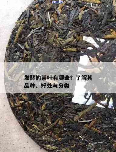 发酵茶叶有哪些茶?-发酵茶叶有哪些茶类