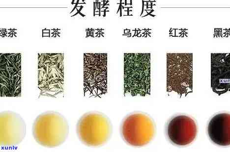 发酵茶叶有哪些茶?-发酵茶叶有哪些茶类