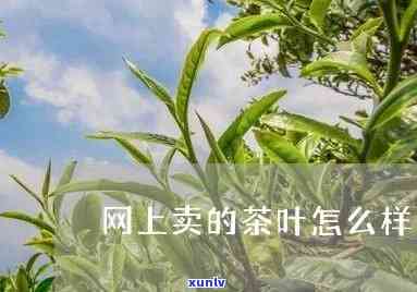 网上卖茶叶好卖吗?-网上卖茶叶好卖吗