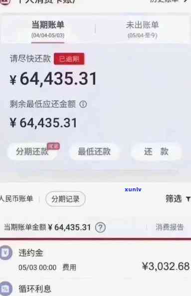 高冰翡翠是什么级别，探究高级别翡翠：高冰翡翠的定义与鉴定标准