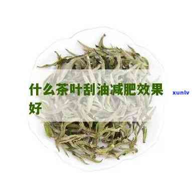 哪些茶叶可以减肥刮油脂，减肥神器！哪些茶叶能有效刮掉体内多余油脂？