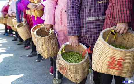 茶叶花干叶子怎么办啊，茶叶花干叶子：怎样解决？