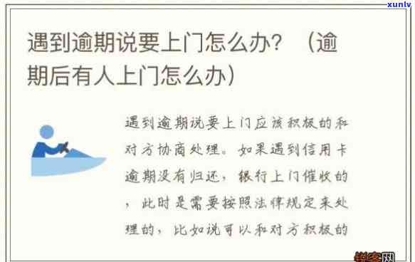 新 清朝宫廷珍宝——贵妃翡翠镯子的瑰丽传说与精湛工艺