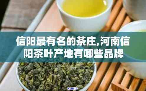 信阳茶叶排行榜-信阳茶叶排行榜前十名