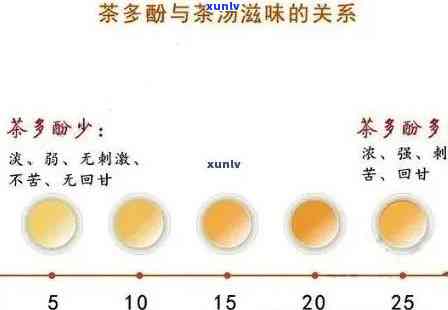 茶叶含茶多酚排行榜-茶叶含茶多酚排行榜前十名