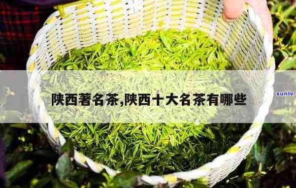 陕西茶叶排行榜前十名，揭秘陕西茶叶排行榜前十强，品味陕茶的独特魅力！