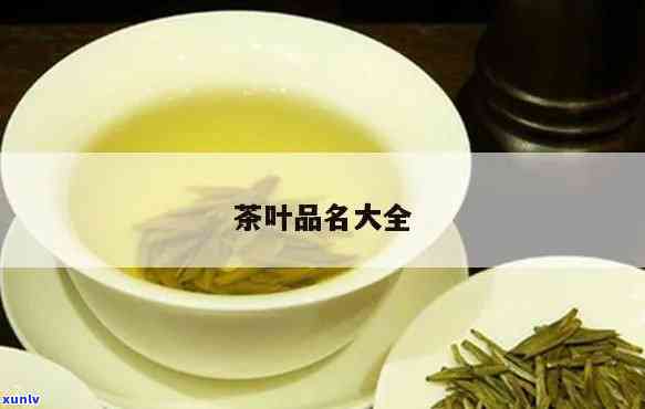 茶叶品名大全，探索茶文化的魅力：茶叶品名大全