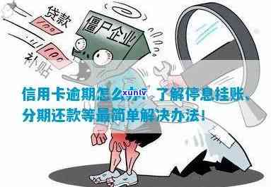 发逾期：解决方案——怎样办理停息挂账与分期还款？