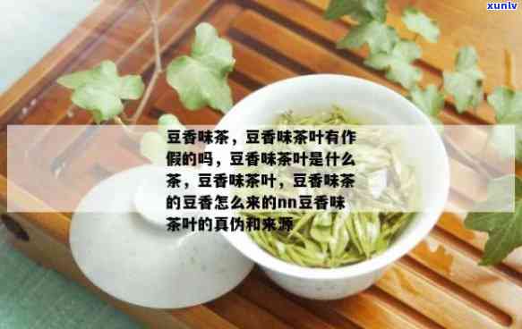 茶叶豆香什么味道，探索茶叶与豆香的完美结合：独特的味道体验