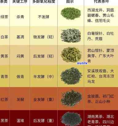 哪种茶叶最健，探究茶叶种类：哪种茶叶对健最有益？