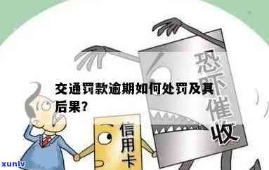 交通罚款逾期，未准时缴纳交通罚款？也许会面临更严重的结果！