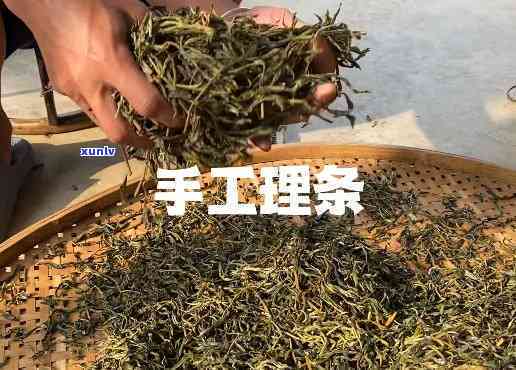 茶叶理条是什么意思-茶叶理条是什么意思啊