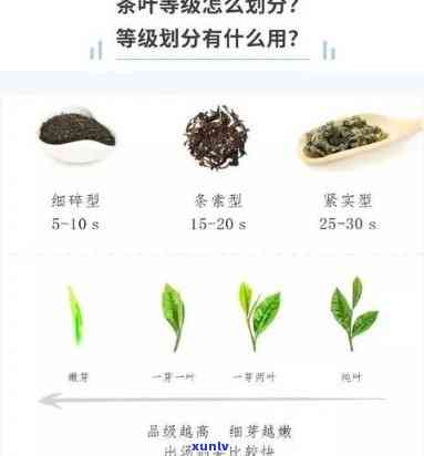 茶叶级别上面是什么级别，探索茶叶的等级体系：茶叶级别之上还有什么级别？