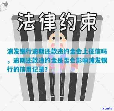 浦发逾期还款违约金，警惕逾期还款：浦发银行将收取高额违约金！