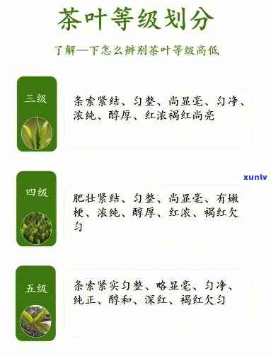 茶叶分几级？详解茶叶等级划分标准