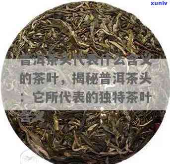 茶叶头茶是什么意思，解密茶叶头茶：你不知道的茶叶品种