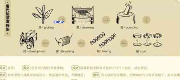 全面了解茶叶原辅材料来源：探究其多种来源与生产过程