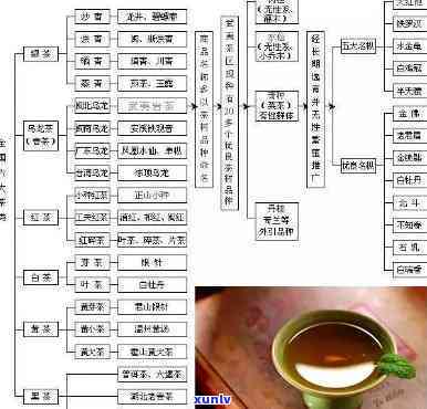 寻觅茶：探秘其品种、所属茶系及分类