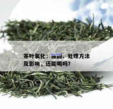 茶叶氧化是什么意思-茶叶氧化是什么意思啊