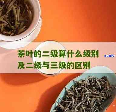 二级茶叶是什么意思呀，「科普」二级茶叶是什么意思？