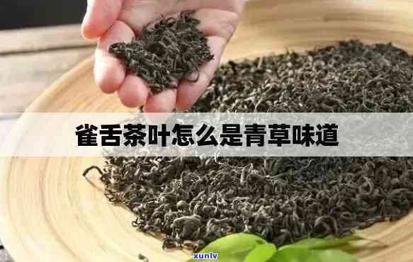 茶叶草青是什么意思-茶叶草青味道